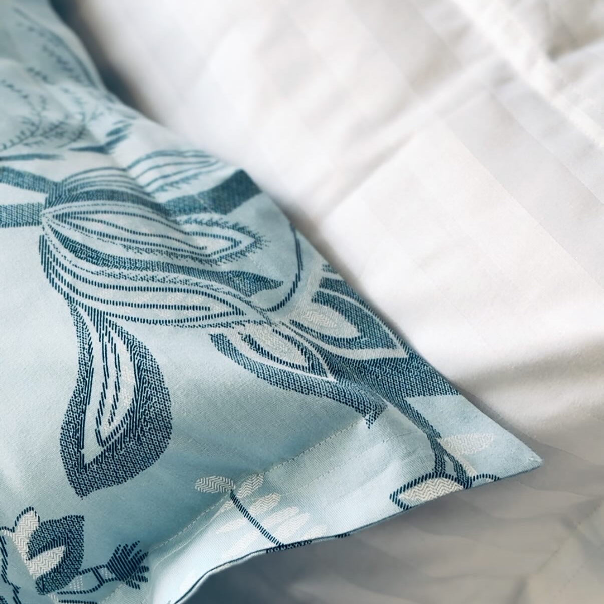 King Size Bed Sheet with 2 Pillow Covers